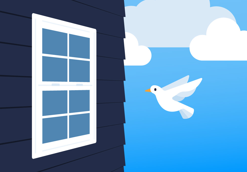 graphic of a white bird flying near a window