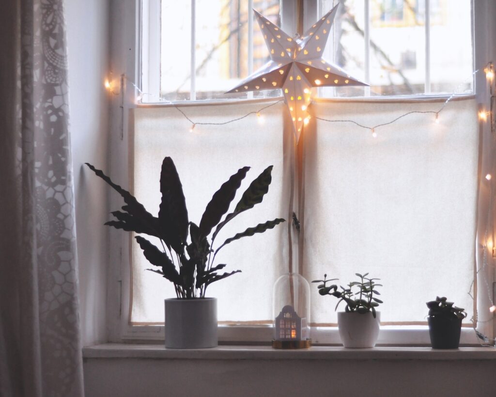 scandinavian-style star decor with holiday lights in window