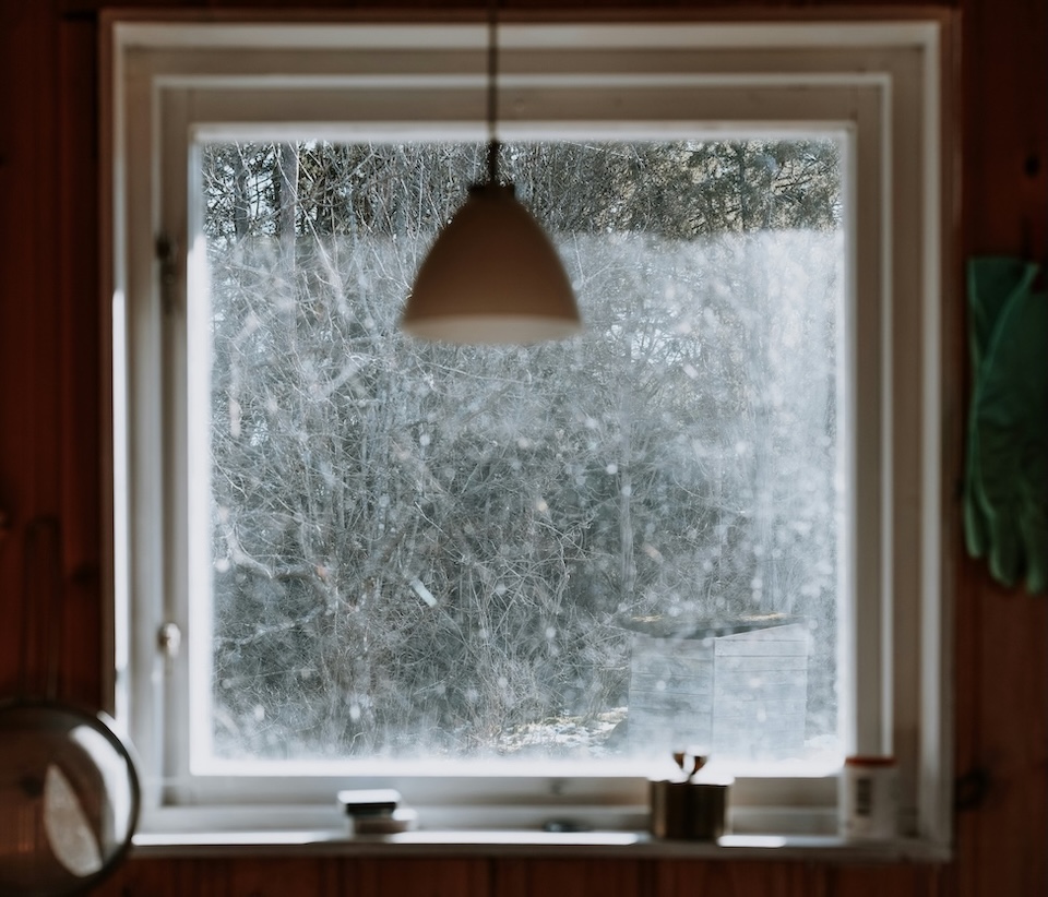 large window overlooking winter woods